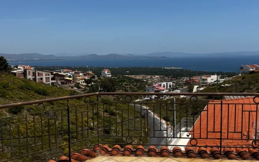 Detached House for sale – ΝΓ-3001