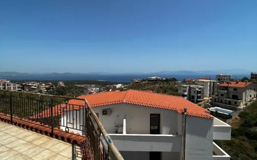 Detached House for sale – ΝΓ-3001