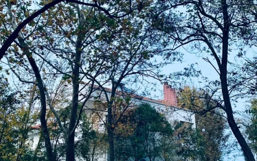 Detached House for sale – Π-3009