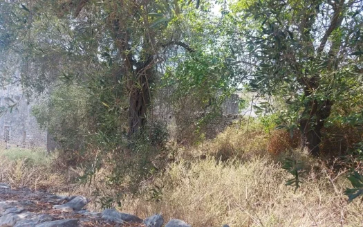 Detached House for sale – Π-1420