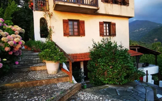 Detached House for sale – Π-20